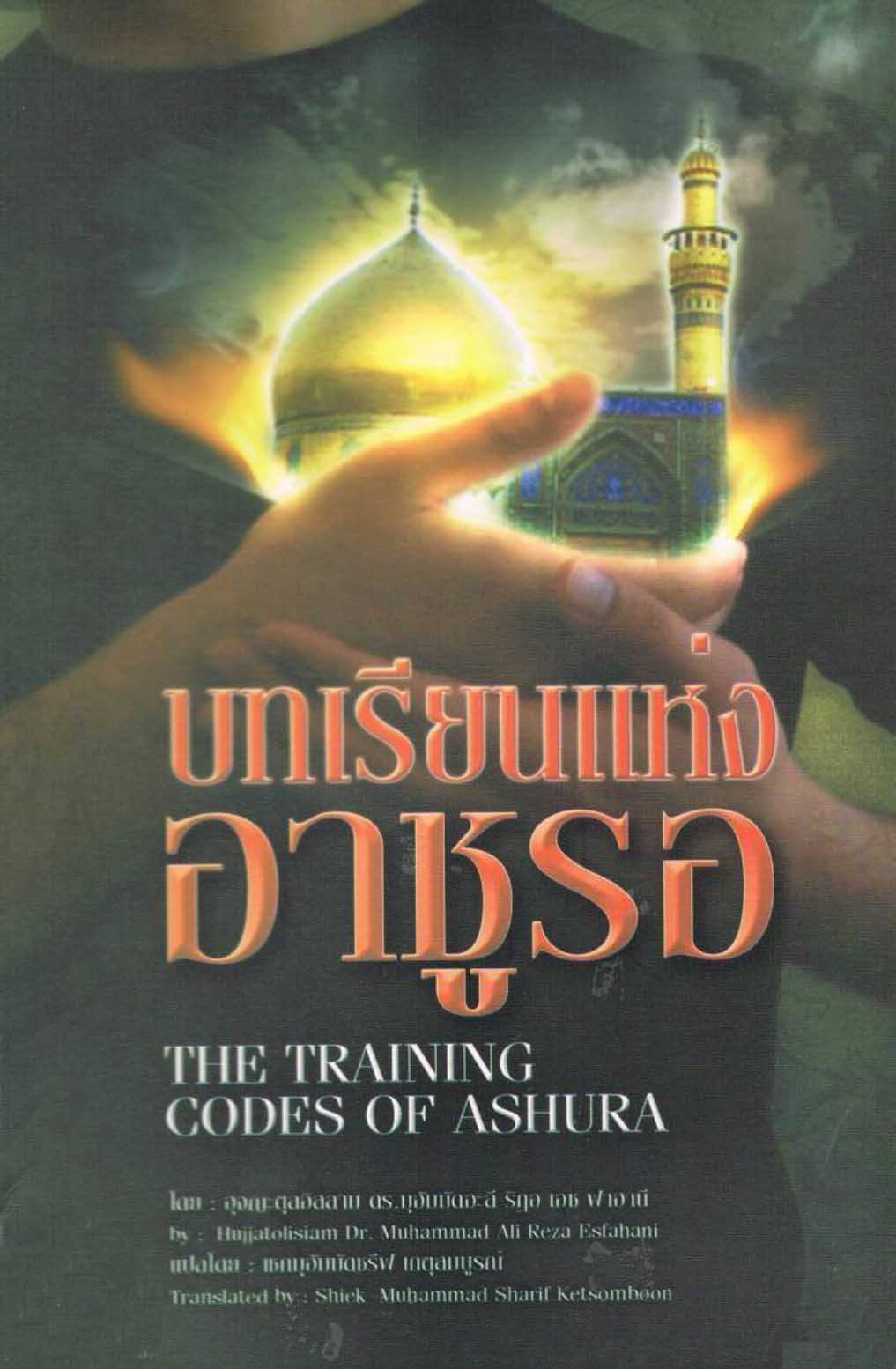 The Training Codes of Ashura